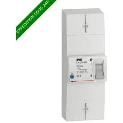 LEGRAND DISJONCTEUR DE BRANCHEMENT ENEDIS BIPOLAIRE DIFFÉRENTIEL 500MA SÉLECTIF INTENSITÉ 60A NON RÉGLABLE 401006